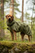 Honden Kleding