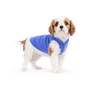 Goldpaw - Stretch - Fleece - Cornflower