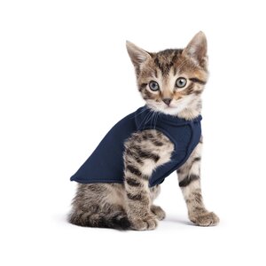 Goldpaw - Stretch - Fleece - Navy