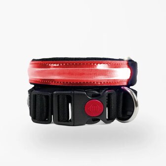 Halsband LED Verstelbaar