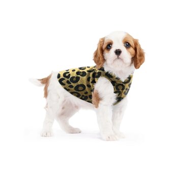 Goldpaw - Stretch - Fleece - Leopard