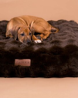 PAIKKA - Orthopedic Plush Bed Lounch