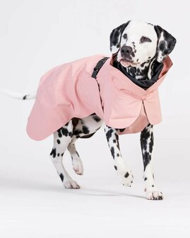 PAIKKA - Visibility Raincoat Lite for Dogs