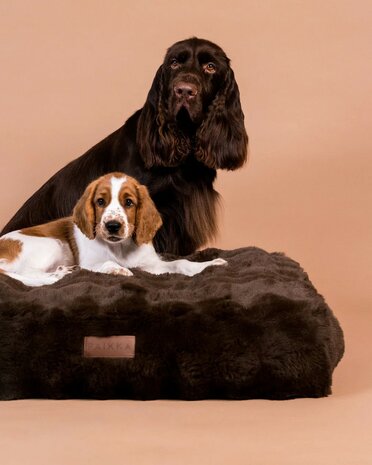 PAIKKA - Orthopedic Plush Bed Lounch